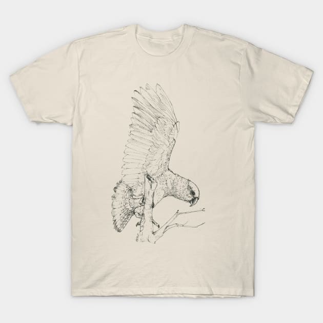 Black Kea T-Shirt by EmilieGeant